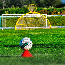 Vilbal klub Vojvodina